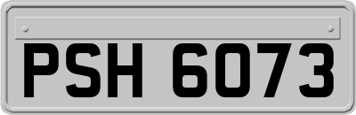 PSH6073