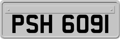 PSH6091