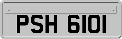 PSH6101