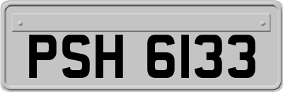 PSH6133