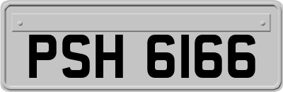 PSH6166
