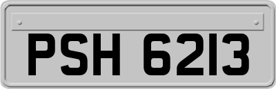 PSH6213