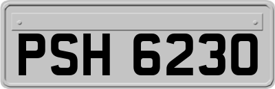 PSH6230