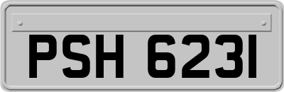 PSH6231