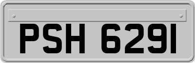 PSH6291