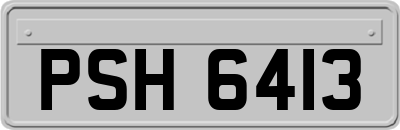 PSH6413