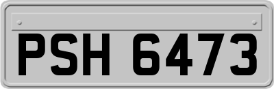 PSH6473