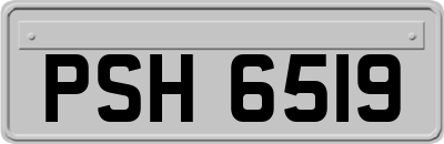 PSH6519