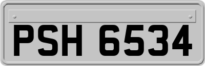 PSH6534