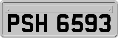 PSH6593