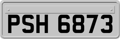 PSH6873