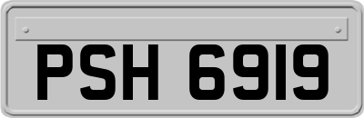 PSH6919