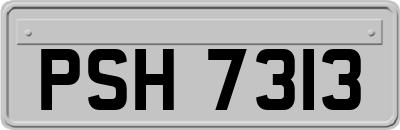 PSH7313