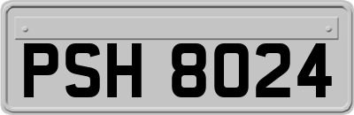PSH8024