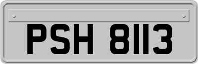 PSH8113