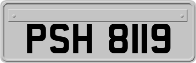 PSH8119