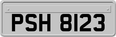 PSH8123