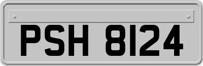 PSH8124