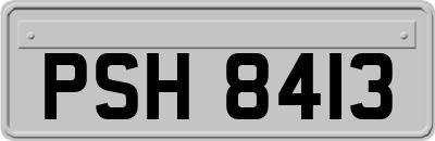 PSH8413