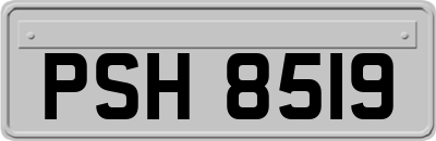 PSH8519