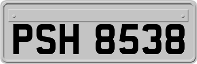 PSH8538