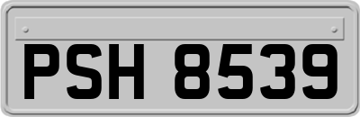 PSH8539