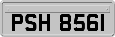 PSH8561