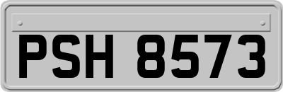 PSH8573