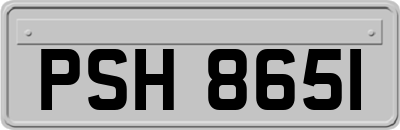 PSH8651