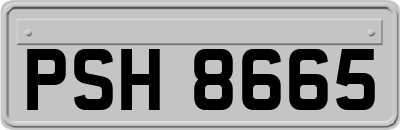 PSH8665