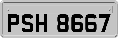 PSH8667