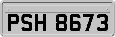 PSH8673