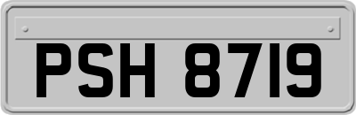 PSH8719
