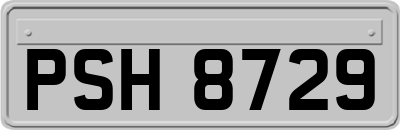PSH8729