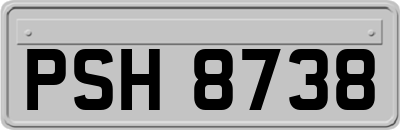 PSH8738