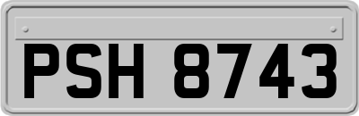 PSH8743