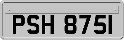PSH8751