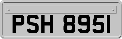 PSH8951