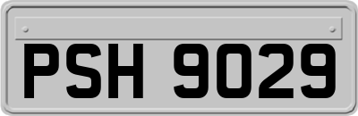 PSH9029