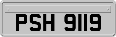PSH9119