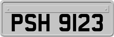 PSH9123