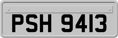 PSH9413