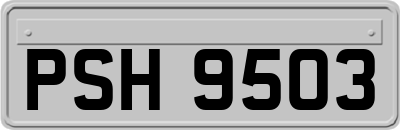 PSH9503