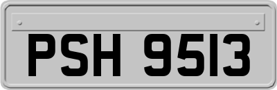 PSH9513