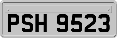 PSH9523