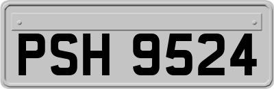 PSH9524
