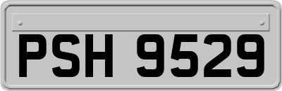 PSH9529