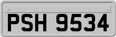 PSH9534