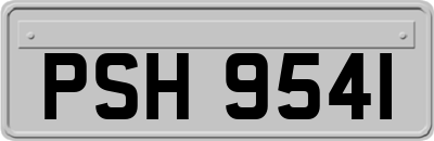 PSH9541