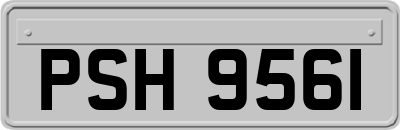 PSH9561